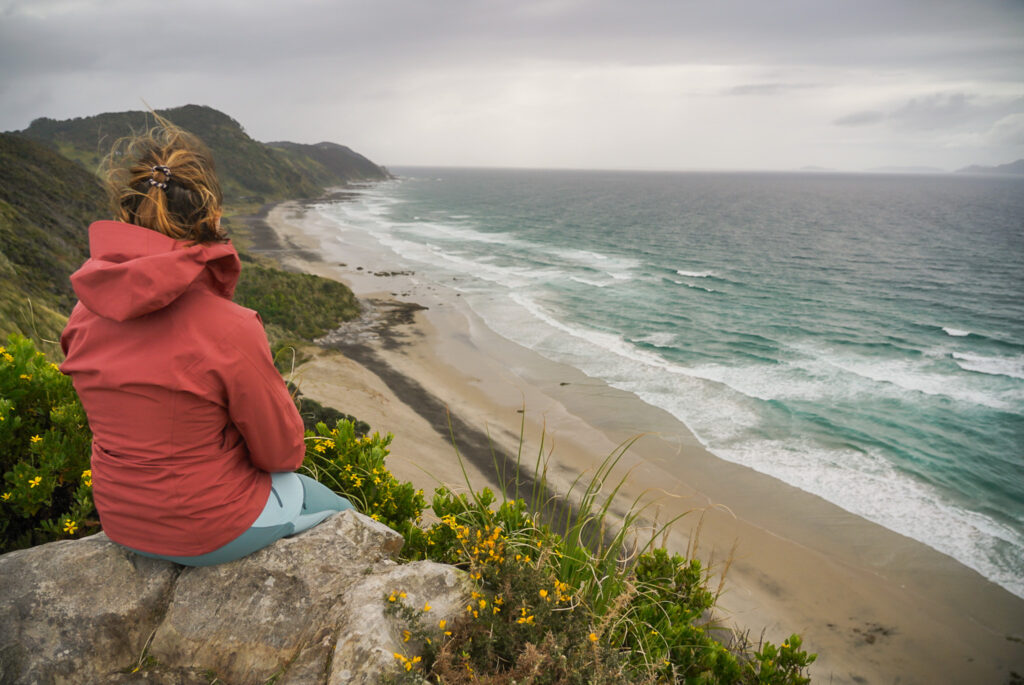 Road trip dans le Northland