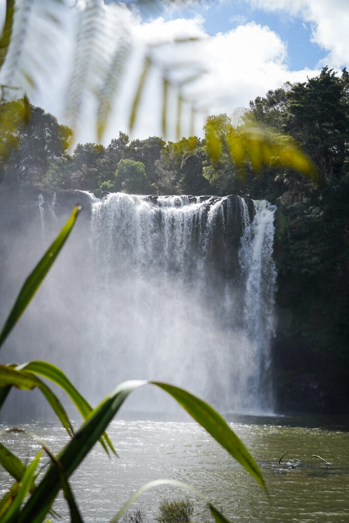 Road trip dans le Northland