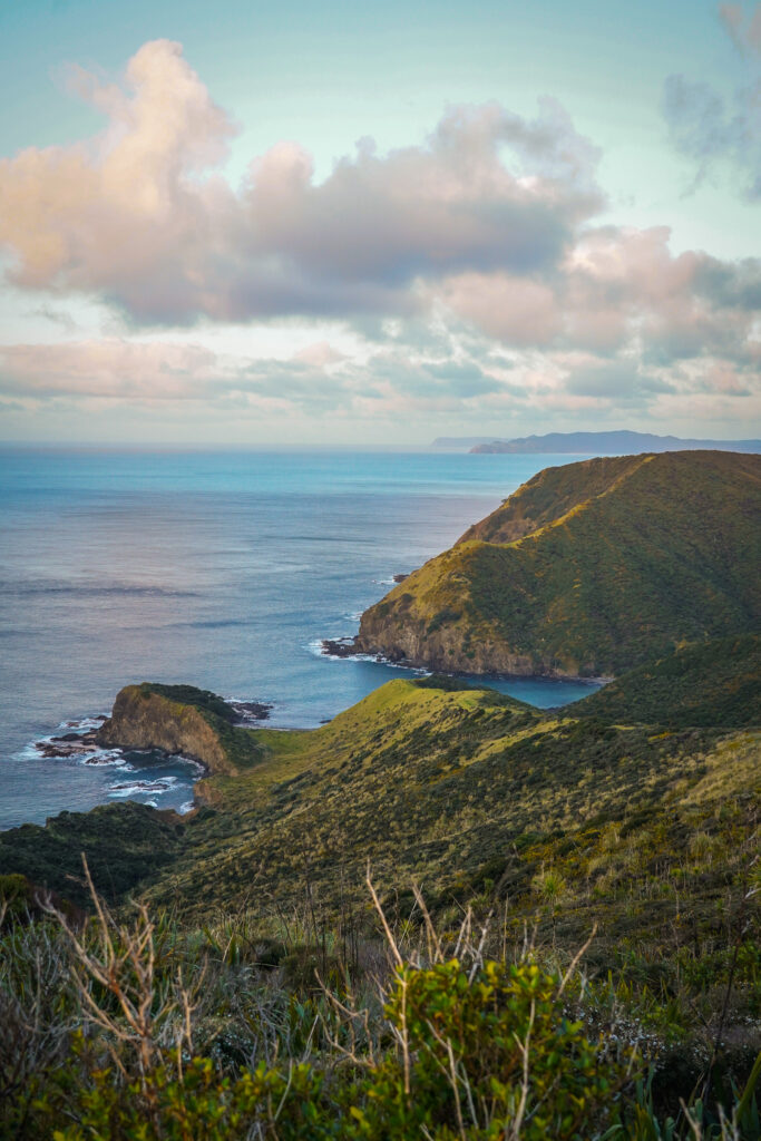 Road trip dans le Northland