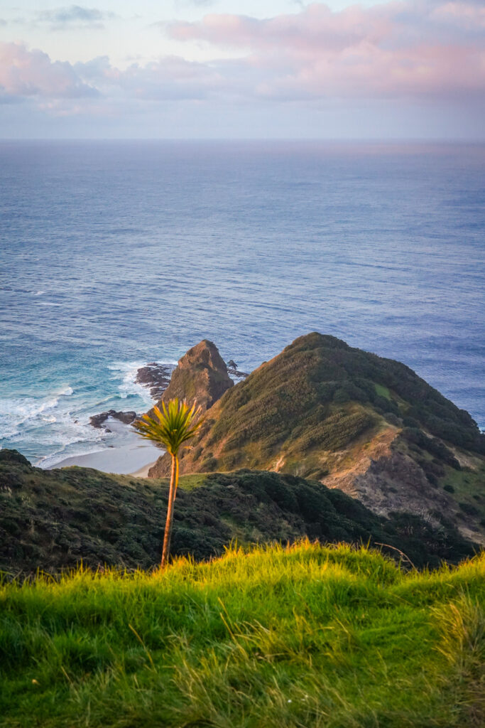 Road trip dans le Northland