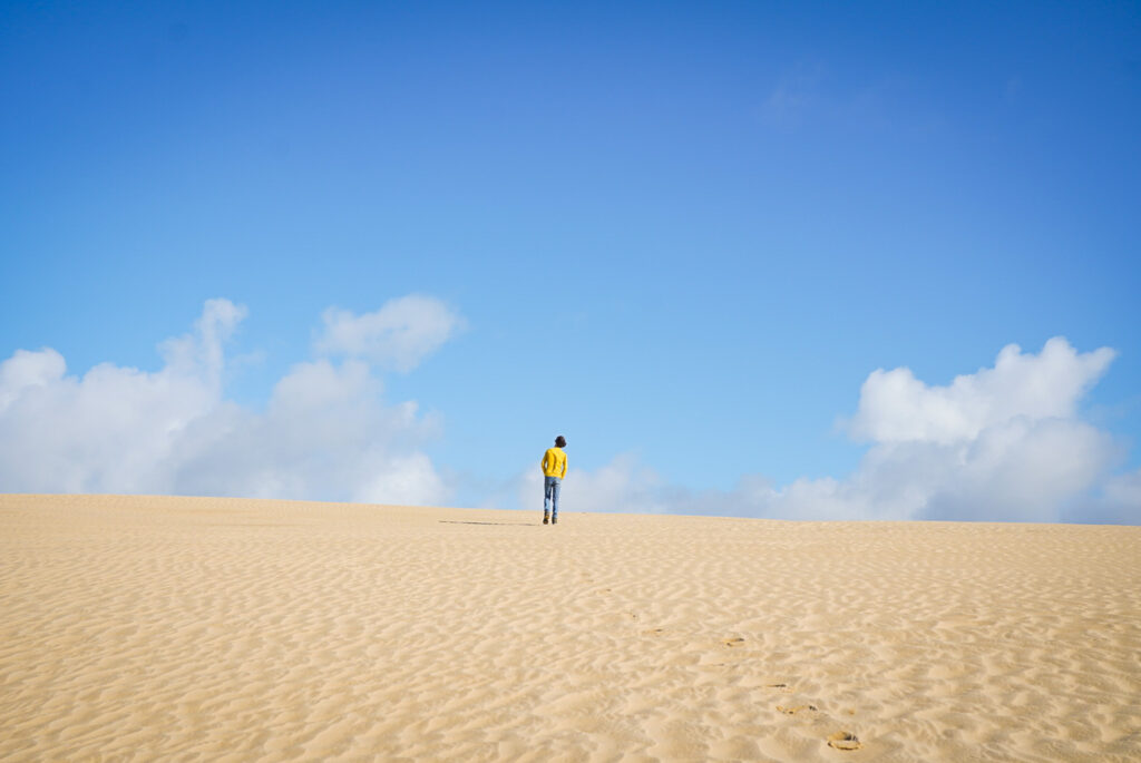 Road trip dans le Northland