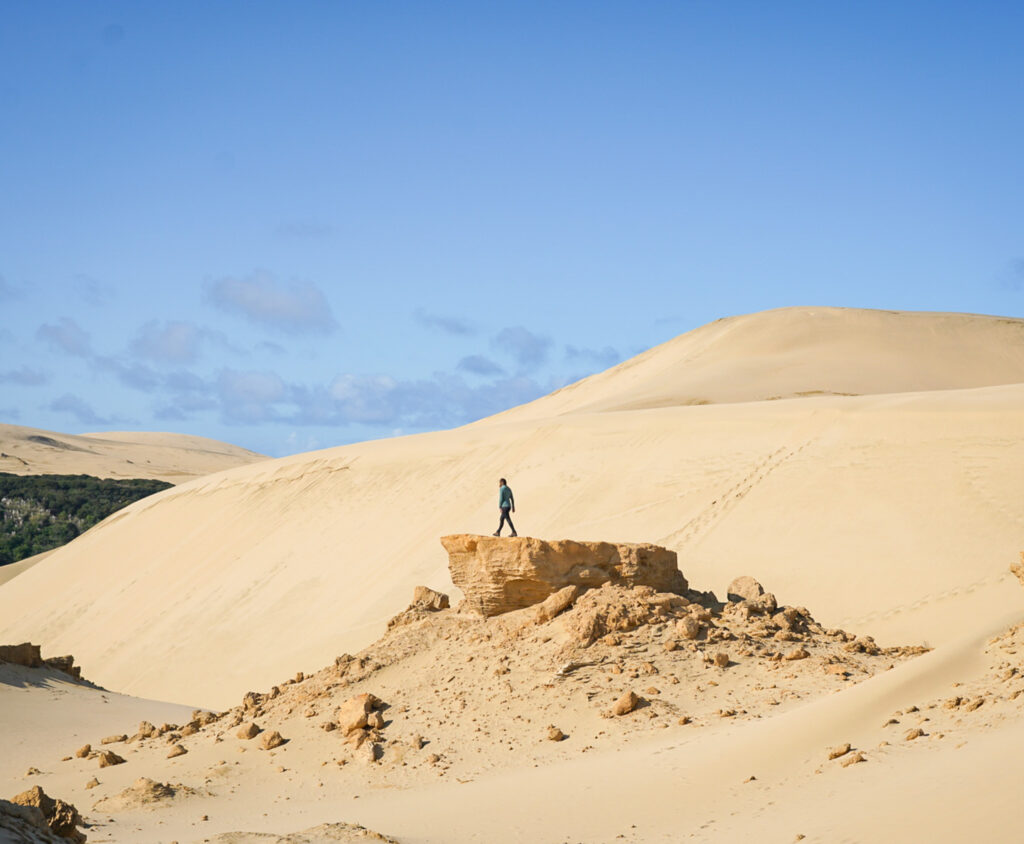 Road trip dans le Northland