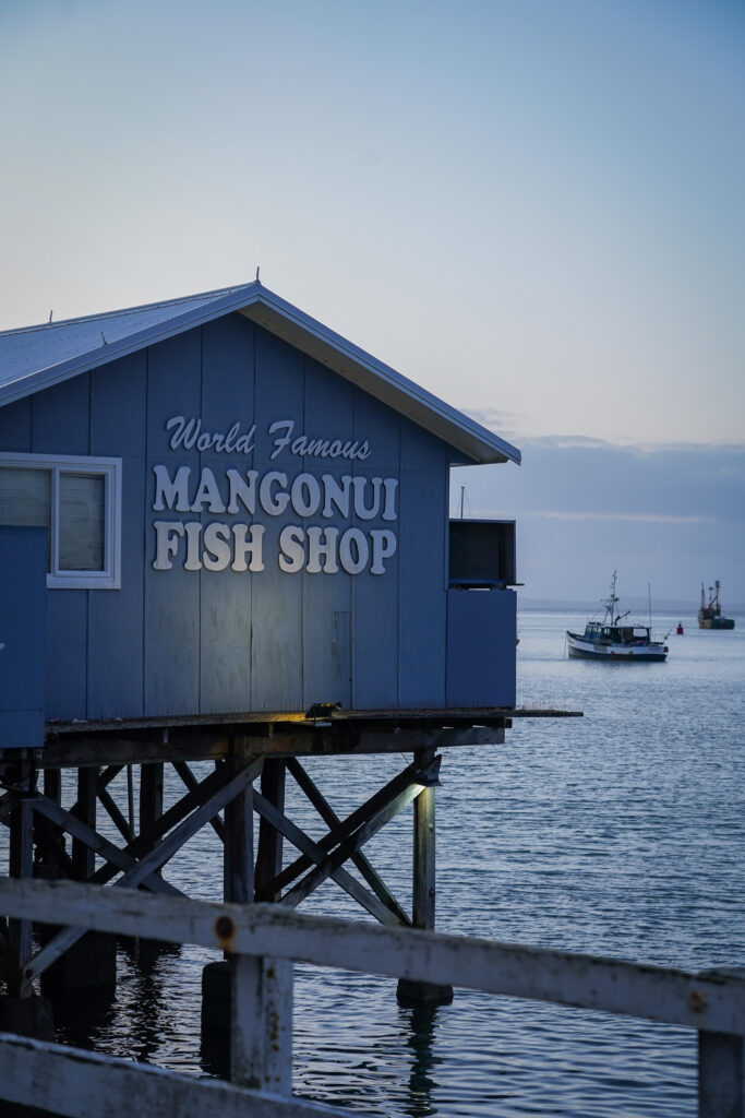 Road trip dans le Northland