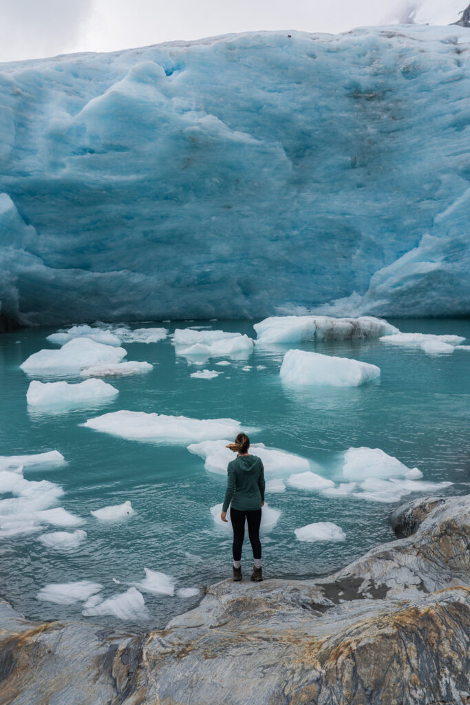 Brewster glacier, ou 4 heures de torture pour une vue à couper le souffle  