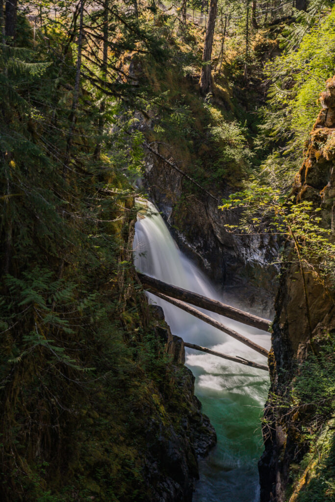 Road-trip de 3 jours sur Vancouver Island : itinéraire, étapes incontournables, bons plans et coups de cœur. Découvrez pourquoi on a adoré !