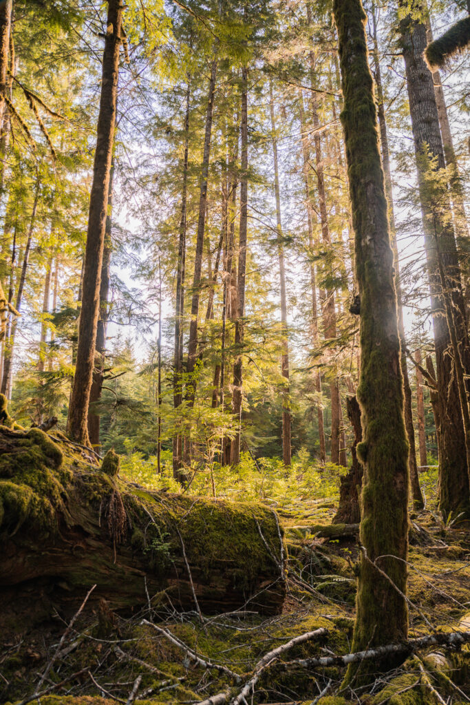 Vancouver Island Road-trip