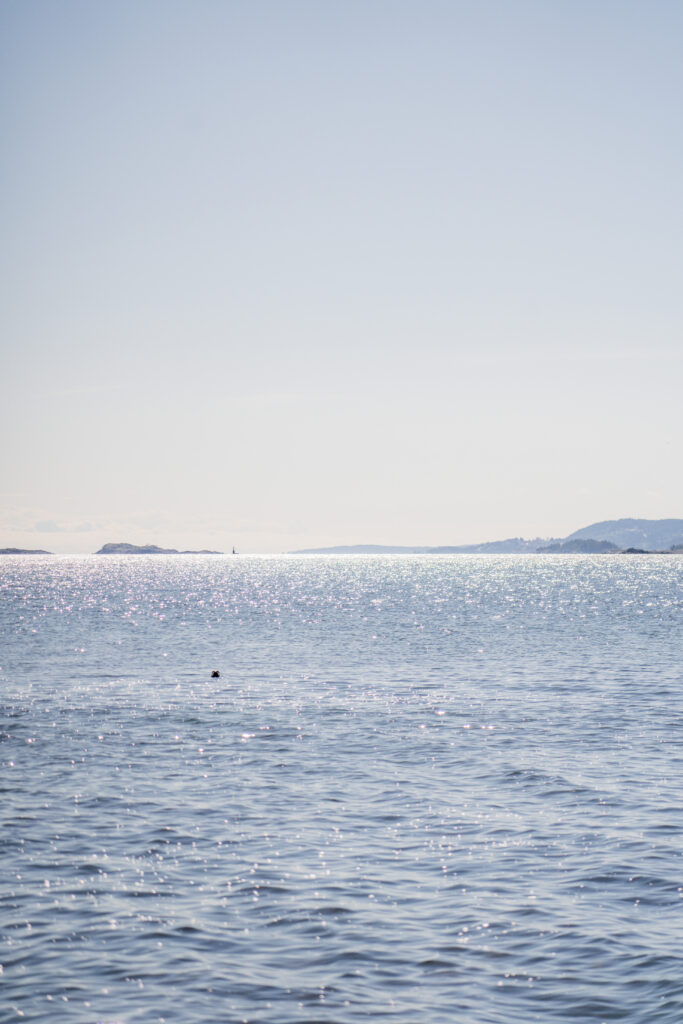 Vancouver Island Road-trip